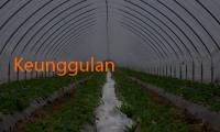 Keunggulan dan Kelebihan JalaLive Mod APK: Panduan Lengkap untuk Pengguna