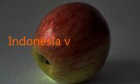 Indonesia vs China: Pertarungan Sengit di Jalur Live Streaming