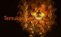 Temukan Sensasi Bermain Game Online di Jalalive 16 com: Pengalaman yang Tak Terlupakan
