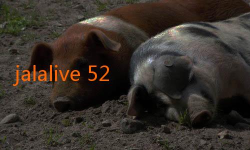 jalalive 52-Jelajahi Dunia Hiburan Tanpa Batas dengan JALALive APK