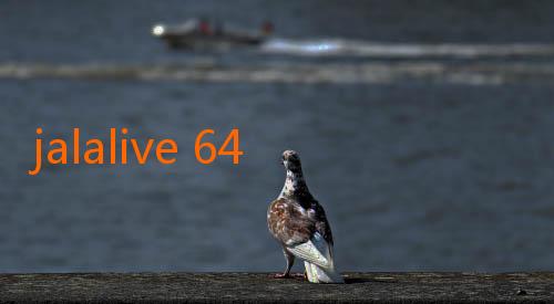 jalalive 64-JalaLive: Menyajikan Pengalaman Hiburan Tak Terlupakan